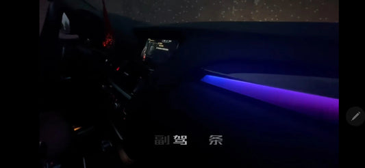 Luces Ambientales BMW X3 / X4 F25 F26 2012-2017